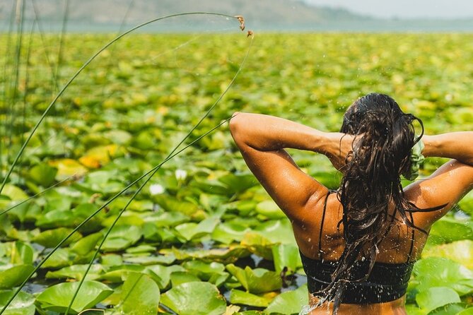 1-hour Kayak Adventure through Skadar Lake from Virpazar - Key points to know before you paddle