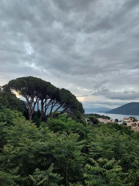 Boka Bay private guided tour to Kotor, Perast and Our Lady - What the guide adds to the day