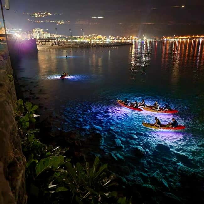 Budva: Night Lights Kayaking Tour - Seeing fish and rocks beneath the LED glow