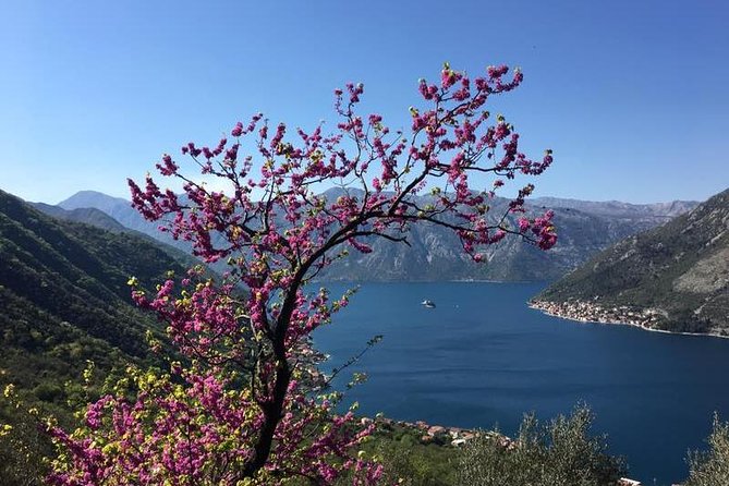 Cycling and hiking short tour through the bay of Kotor - Who Should Book This Kotor Bay Adventure