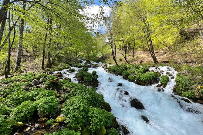 Durmitor - Black Lake & Tara River Canyon - North Montenegro tour - Why this northern Montenegro day trip works