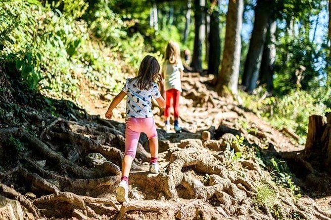 Durmitor National Park hiking tour - easy to moderate - Starting in Žabljak and choosing your route