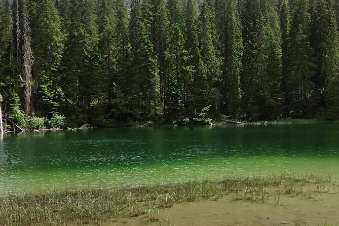 Durmitor National Park hiking tour - easy to moderate - Bosača adds a glimpse of mountain village life