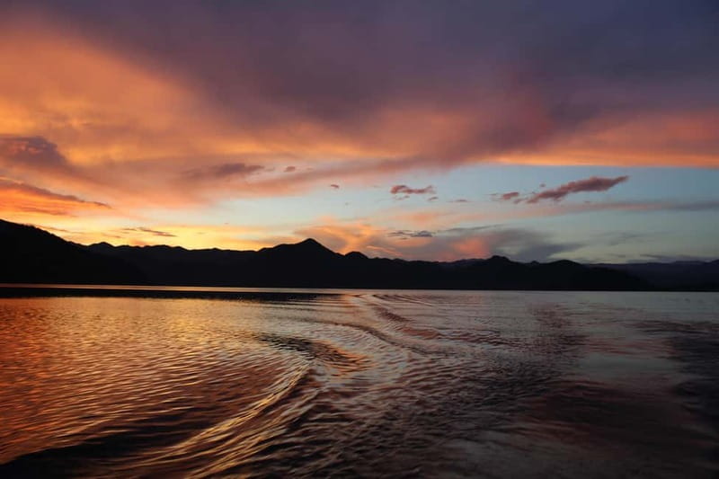 Experience Skadar Lake in 1h! - Birdwatching without a long expedition