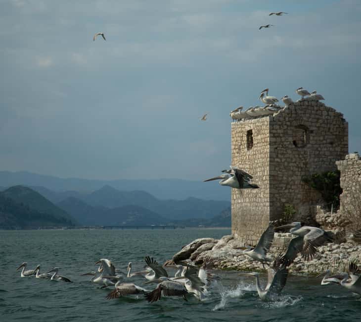 Experience Skadar Lake in 1h! - The hidden beach, swimming, and sunset option
