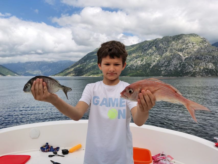 From Bay of Kotor: Blue Cave Private Speedboat Tour - What the $483 group price really buys