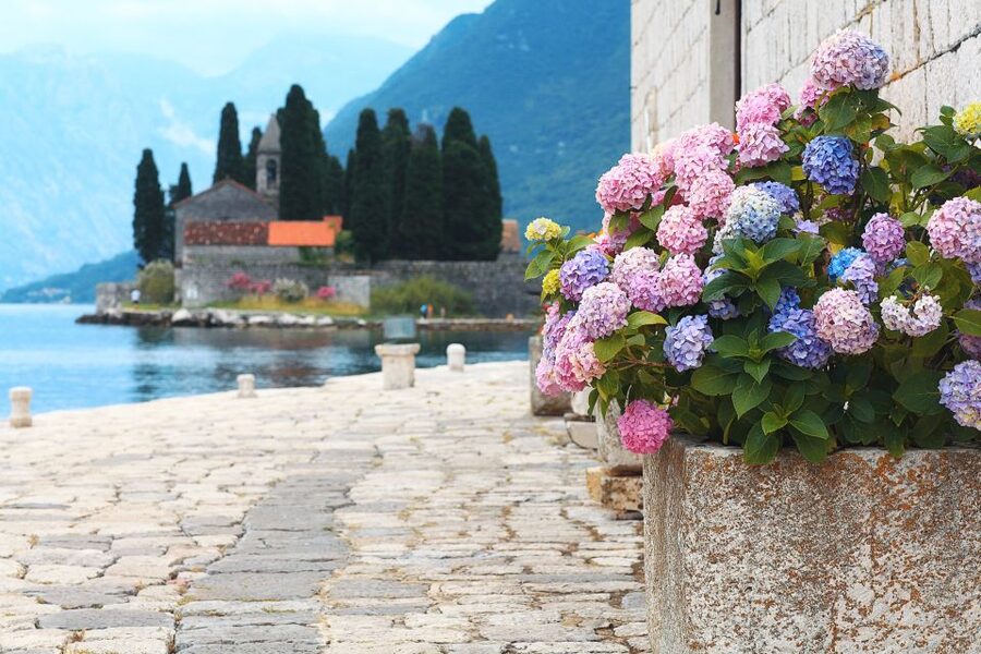 From Dubrovnik: Montenegro Highlights Day Tour - Who should book this excursion?