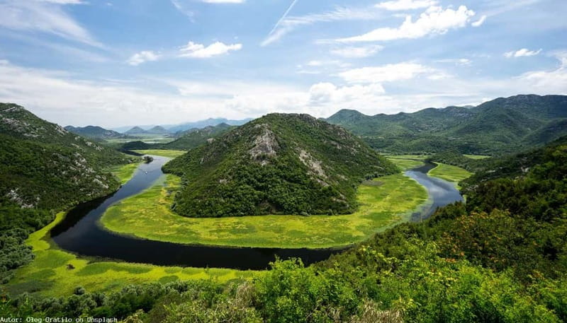 From Kotor, Budva, Tivat: Skadar Lake Boat Tour & Wine - Plantaže and the taste of Vranac