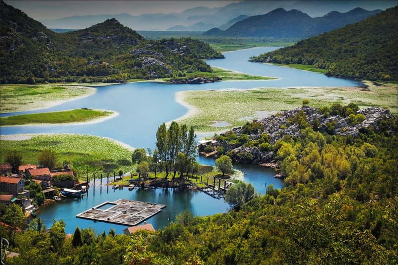 From Kotor, Budva, Tivat: Skadar Lake Boat Tour & Wine - Who will enjoy this outing most