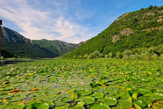From Virpazar: Visit Karuč, the hidden pearl of Lake Skadar - Vranjina and the first wide views