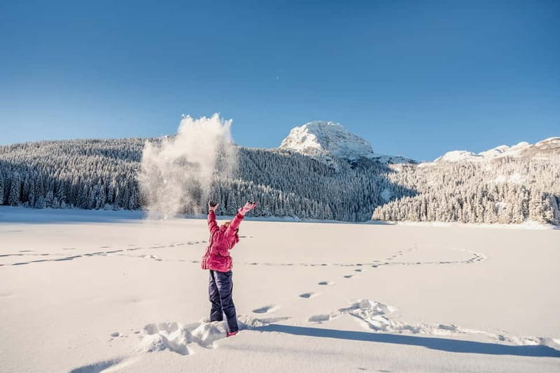 From Žabljak: Durmitor National Park Private Hiking Tour - What the guide adds to the walk