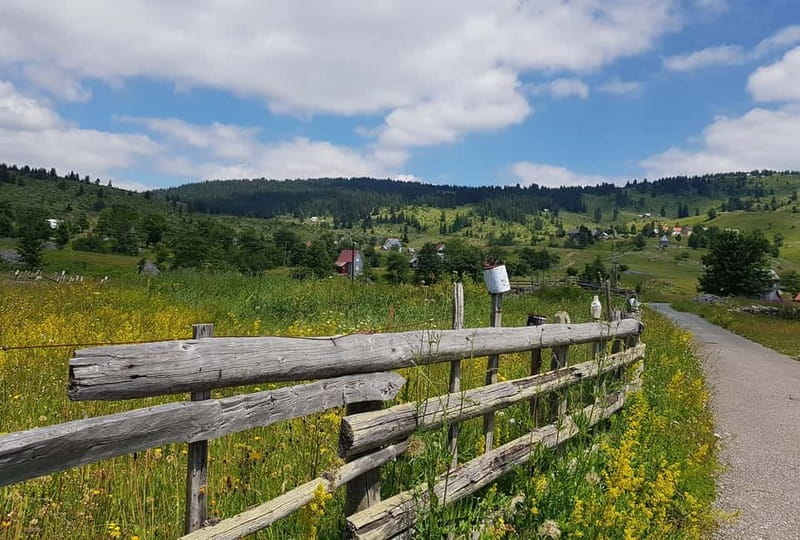 From Žabljak: Durmitor National Park Private Hiking Tour - My call: book it for the guide and the route