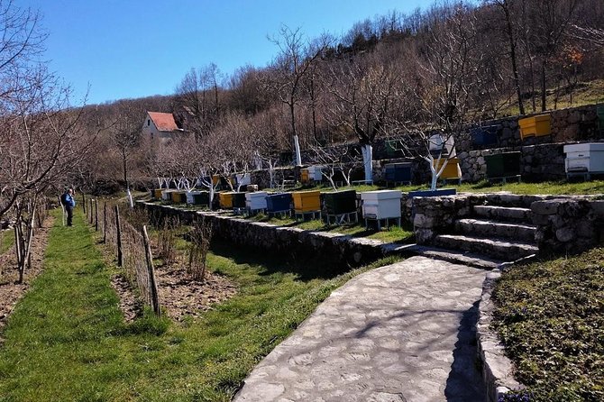 Gastronomy and Sightseeing in Montenegro - Lake Skadar & Cetinje Private Tour - Why this route works so well