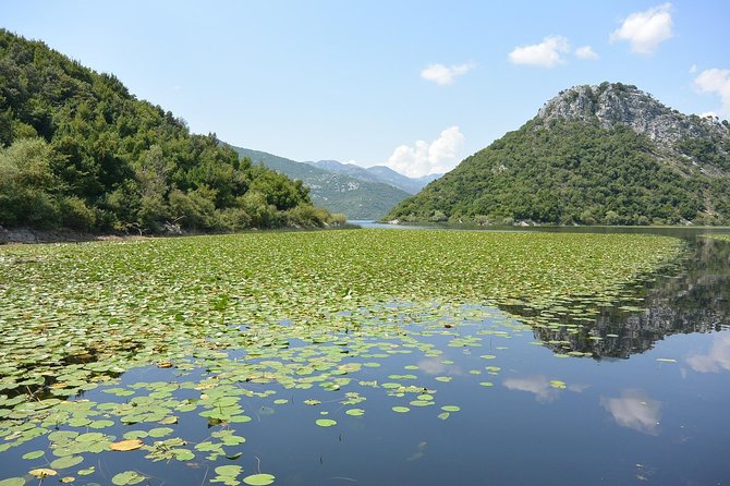 Gastronomy and Sightseeing in Montenegro - Lake Skadar & Cetinje Private Tour - Who will enjoy this tour most?