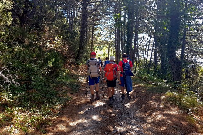 Hiking Vrmac peninsula with panoramic view on Kotor bay - What the $114.48 price means