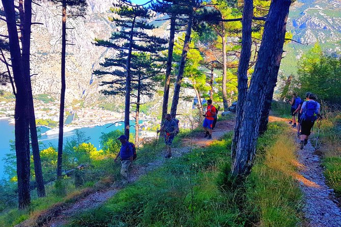 Hiking Vrmac peninsula with panoramic view on Kotor bay - Practical preparation for five to six hours
