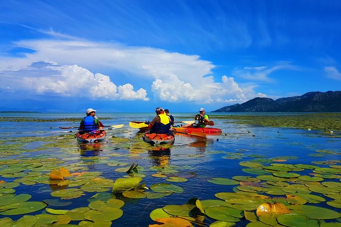 Kayak Guided Tour Skadar lake - Adventure in National park - Pelinovo Beach for swimming and a drink