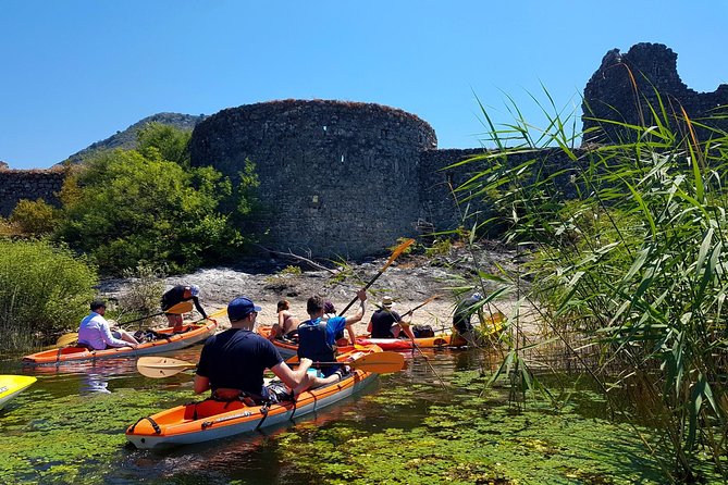 Kayak Guided Tour Skadar lake - Adventure in National park - What the price of $113.18 includes