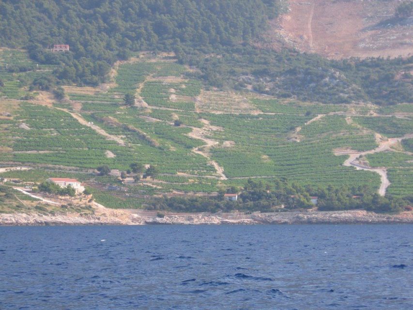 Korčula & Ston Full-Day Private Tour from Dubrovnik - Ston’s salt flats and defensive walls