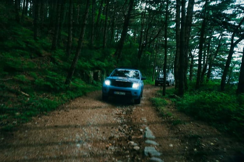 Kotor Bay and Fortresses Off-Road Adventure & Food tasting - The return road to Kotor or Tivat