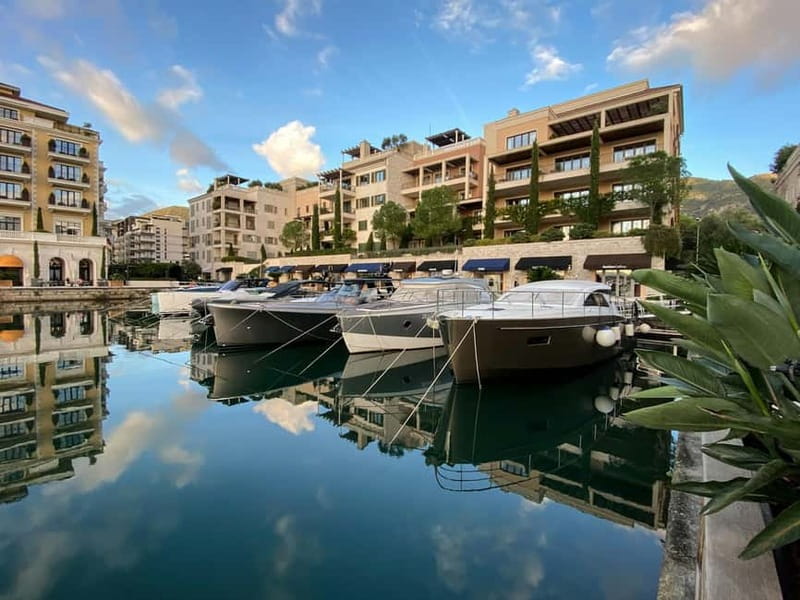 Kotor: Bay of Kotor and Tivat Electric Car Tour - Who should book this tour