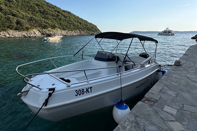 Kotor Blue Cave Group Tour - Who will enjoy this Kotor boat trip?