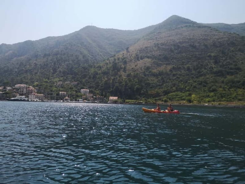 Kotor: Guided Kotor Bay Kayaking Tour - Key points at a glance