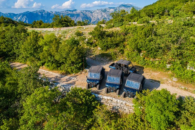 Kotor Off road buggy adventure: mountains, fortresses & vistas - Mount Vrmac: pine forest above Kotor