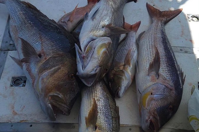 Kotor Private Fishing Adventure Blue Cave And Lunch - Who will enjoy this private fishing trip most?