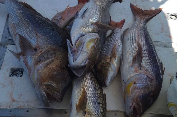 Kotor Private Fishing Adventure Blue Cave And Lunch - What to confirm before you step aboard