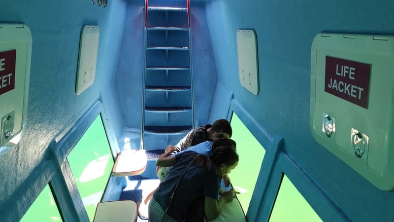Kotor: Red Semi-Submarine Family Tour With Underwater Cabin - Is $35 a fair price?