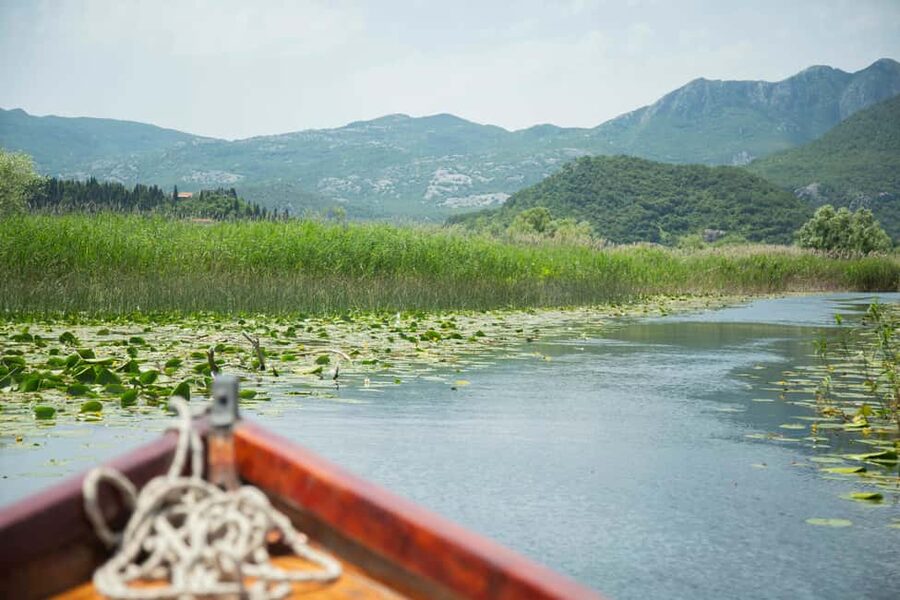 Lake Skadar: Guided Nature Cruise with Drinks - The 15-minute swim stop