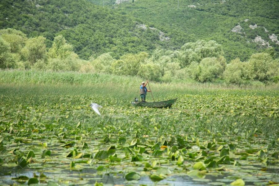Lake Skadar: Guided Nature Cruise with Drinks - Small details that make the ride better