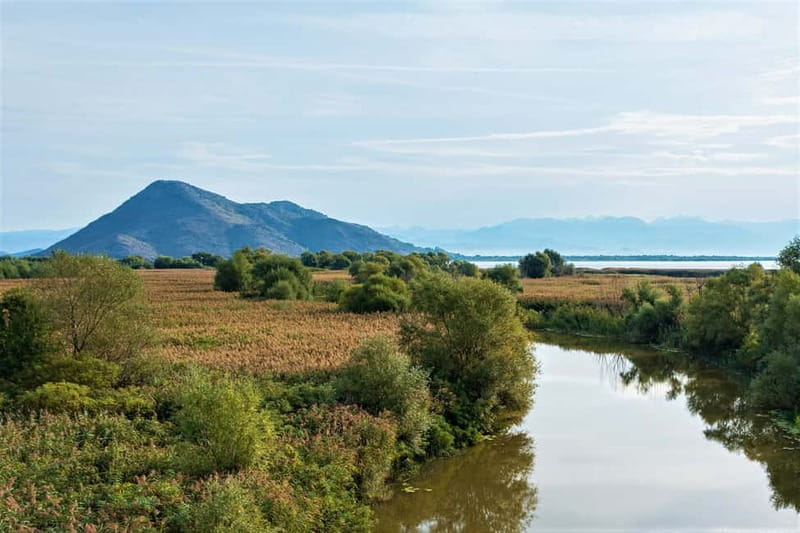 Lake Skadar National Park: Visit the Montenegrin Venice - Starting in Virpazar, Lake Skadar’s small gateway