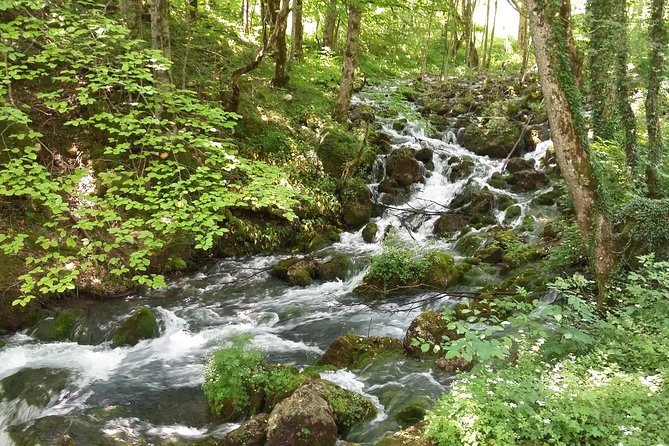 Moraca, Tara & Piva canyons with Durmitor national park - Crno Lake brings you into Durmitor National Park
