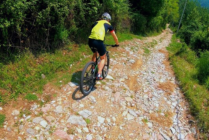 Mountain Biking on Vrmac peninsula - Panoramic view on Kotor bay - Beginning at Fort Trojica