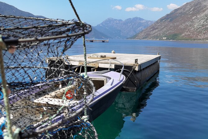 Mussel & Oyster Farm with Perast visitation Private Tour - Who should book this private seafood tour