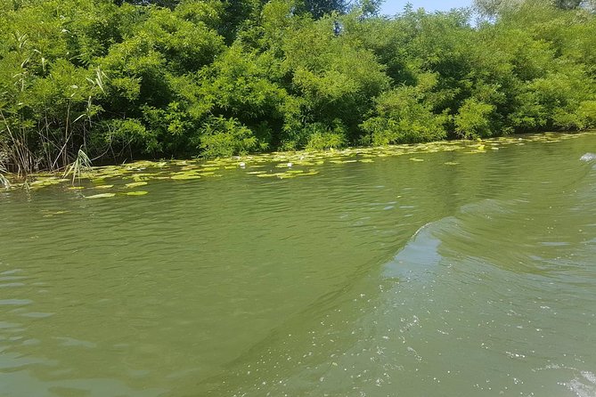 National park Skadar Lake (Private tour) - On the water at Lake Skadar