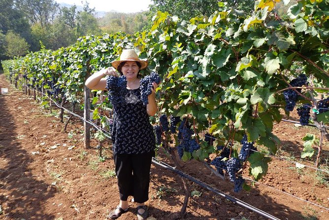 National parks and wine tasting (NP Lovcen, NP Skadar lake, Cetinje, Njegusi) - Skadar Lake from Pavlova Strana