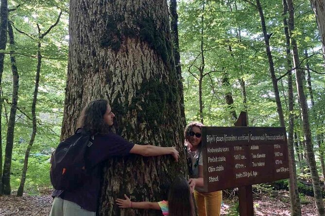 NORTH TOUR Np Biograd Gora-Lake-Moraca Canyon & Monastery-Kolasin - Lake Biograd, forest, and a quieter kind of nature