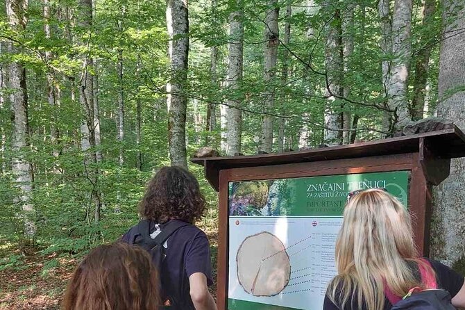 NORTH TOUR Np Biograd Gora-Lake-Moraca Canyon & Monastery-Kolasin - Morača Monastery and its yellow-stone legend