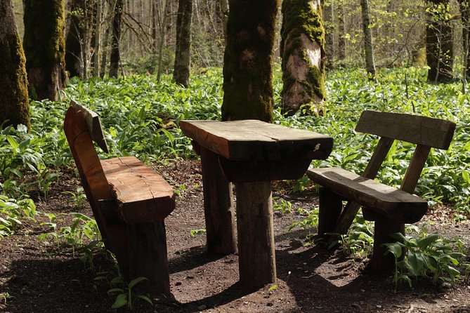 NP Biogradska Gora and Canyon Moraca (Private tour) - Biogradska Gora, a protected forest with a gentle lake walk