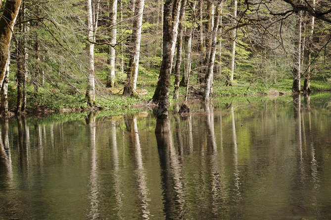 NP Biogradska Gora and Canyon Moraca (Private tour) - What the seasons change at Lake Biograd
