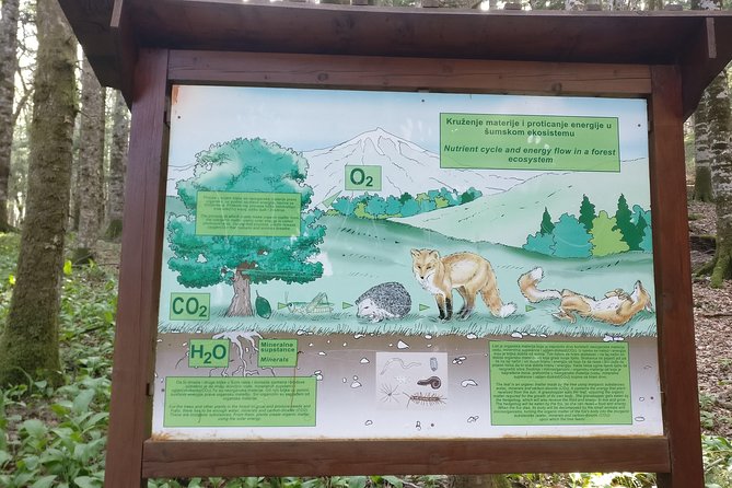 NP Biogradska Gora and Canyon Moraca (Private tour) - Is $310.23 per person fair value?