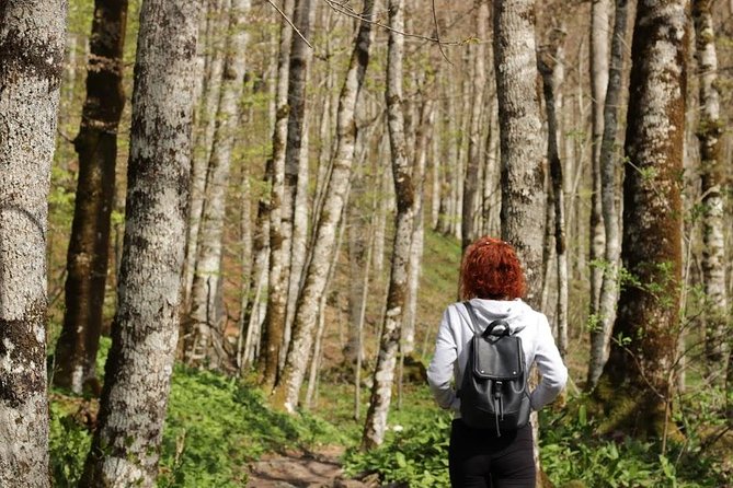 NP Biogradska Gora and Canyon Moraca (Private tour) - Who will enjoy this day most