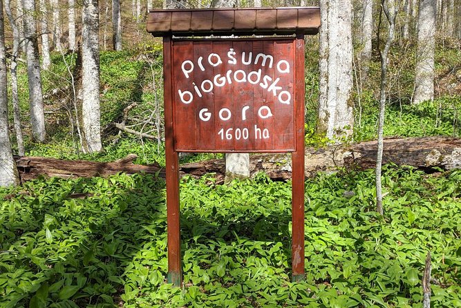 NP Biogradska Gora and Canyon Moraca (Private tour) - Moraca Canyon and the road that defines the trip