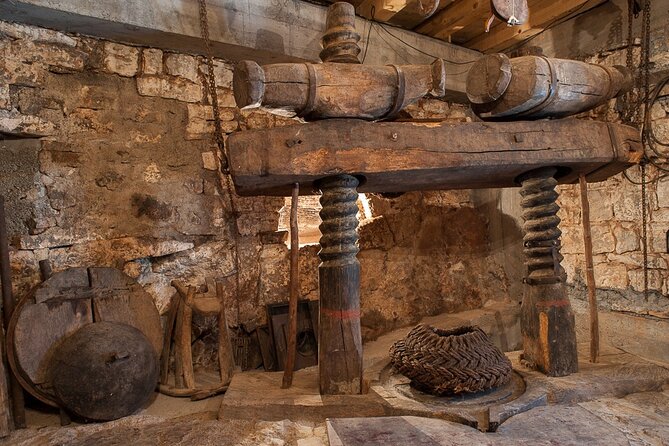 Olive oil farm to fork experience & short walking tour of Kotor - A family estate with two centuries of stories