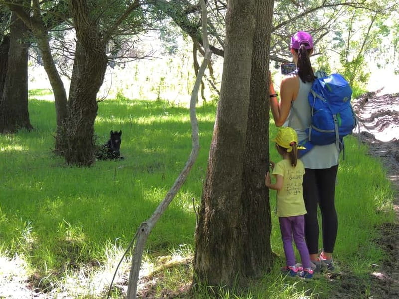 Podgorica Historic, Safari and Winery tour - Skadar lake - Bisevina: a wildlife stop with a realistic caveat