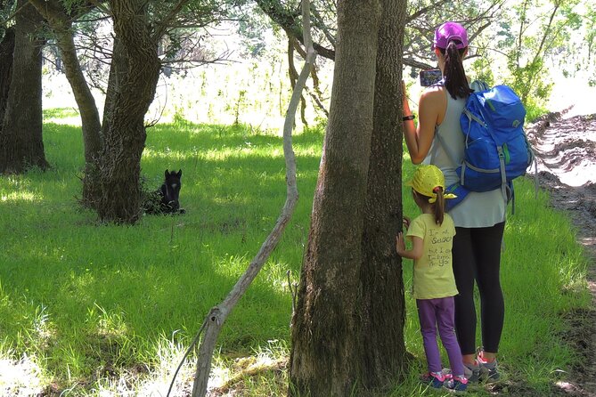 Podgorica Historic, Safari and Winery tour - Skadar lake and River Crnojevica - Biševina: a rural stop with wild horses