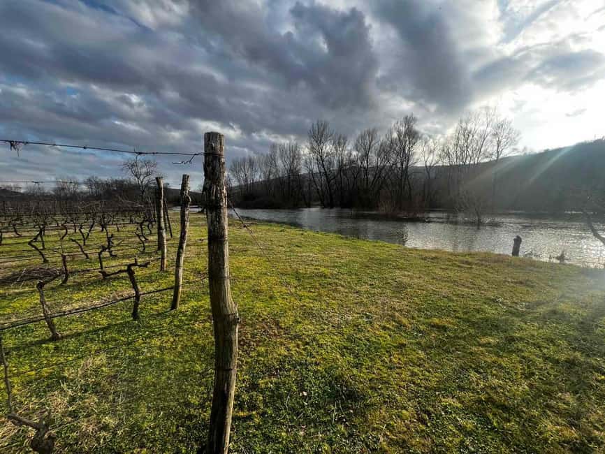 Podgorica: Panoramic Wine Tasting & Snack - Rooftop views and free time